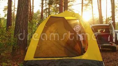 早上在森林露营帐篷里醒来的旅游女孩。 年轻女孩在游客的日出中伸展双手